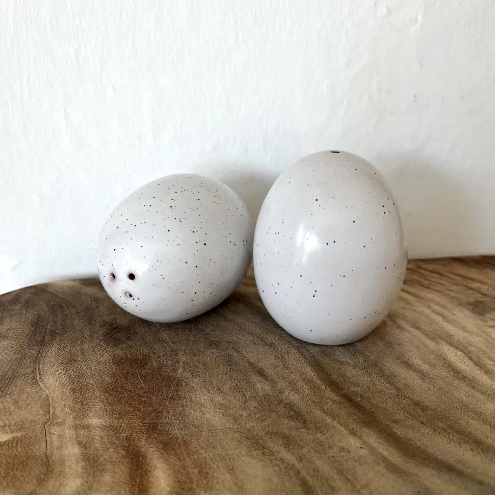 West Elm speckled egg ceramic salt and pepper shakers